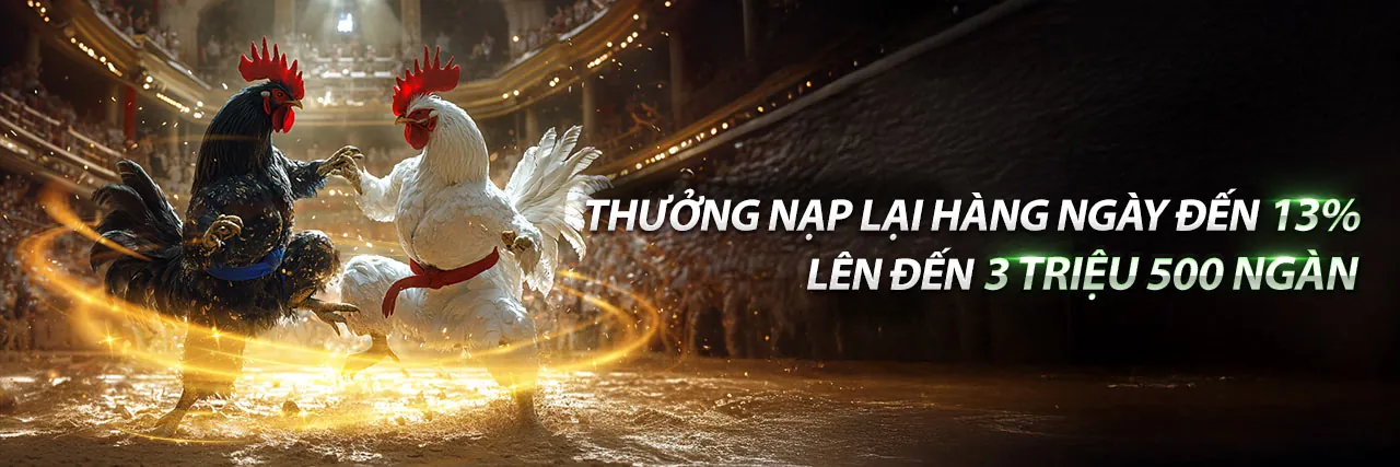 Đá gà trực tuyến MCW67